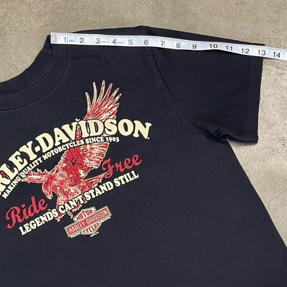 Vintage Harley Davidson Graphic 2010 Biker Grunge T-shirt - Picture 8 of 10